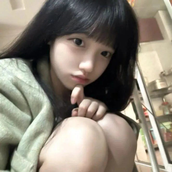 挎斗摩托车里的狗